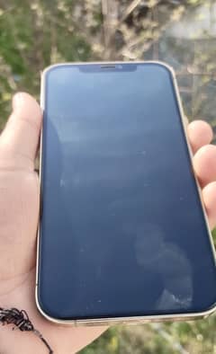 iphone 12promax  factory unlock