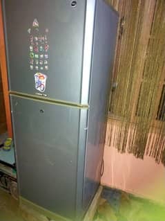 PEL Desire Refrigerator