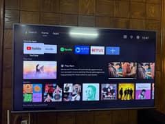 TCL LED model (55P8M)