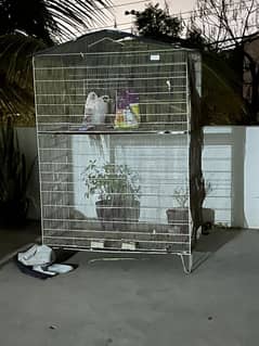 Cage Pinjra with birds