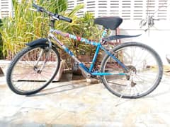 Japanese Imported Cycle