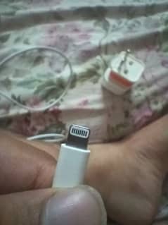 Apple iPhone 100% original type c to lightning fast cable