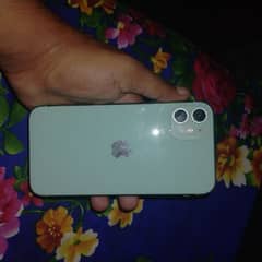 iphone 11 panel or cameray original ha for sale