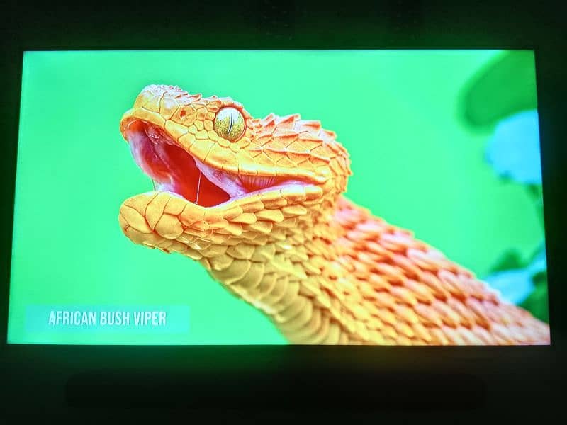 TCL smart Q LED 55 C716, 1