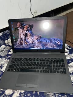 hp