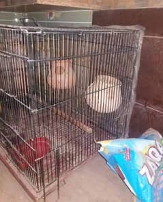 Ali Cage For Sale