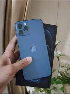 iphone 12 pro max pta approved 256 gb