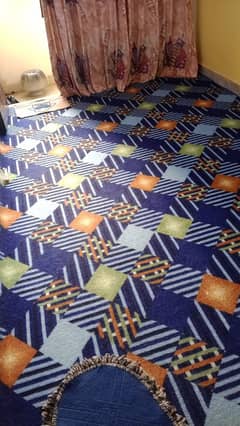 carpet