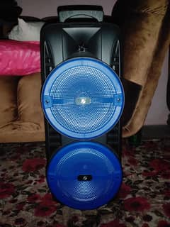 (NEW DOUBLE SPEAKERS 8+8 )