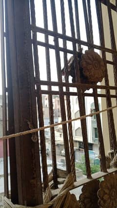 iron door and window