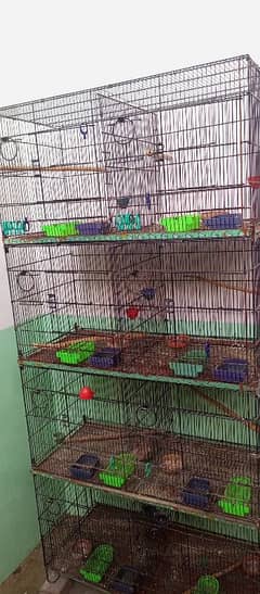 8 portion cage urgent sale