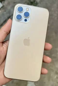 Iphone 12 Pro Max Pta Approved