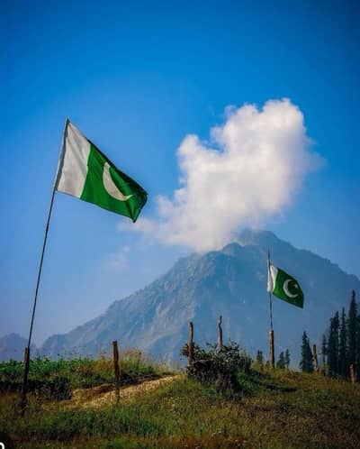 shop pr sale men  ki zrort ha