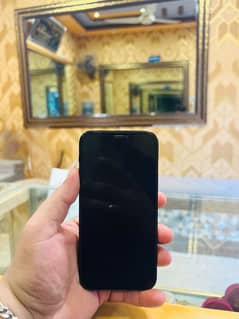 iPhone 12 pro