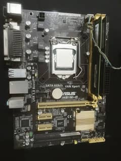 Intel Xeon E3-1246 v3