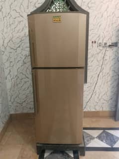 haiyr frige