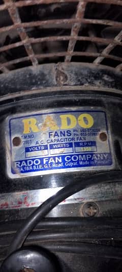 Rado