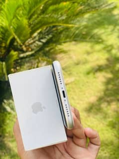 iphone 11 pta approved