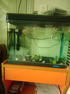 Aquarium with heater and all accessories