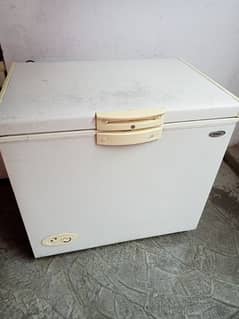 Waves single door deep frezer 52000/-rs. Haier Double door 82000/-rs.