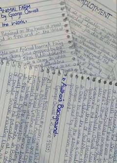 Assignment work and writing