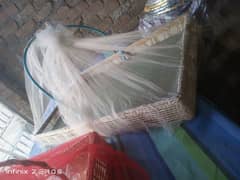 gift