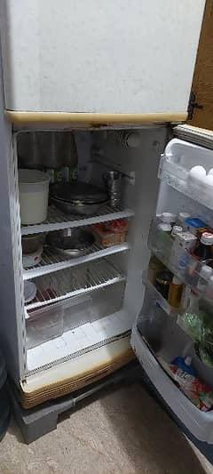 PEL Fridge Small for sale