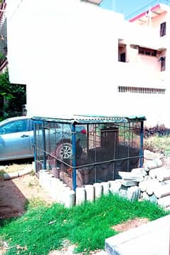Animals cage available