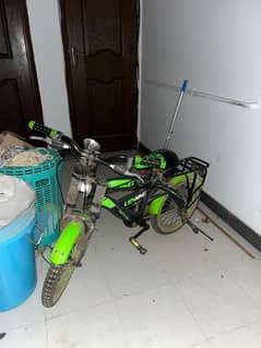 Lion king bycycle