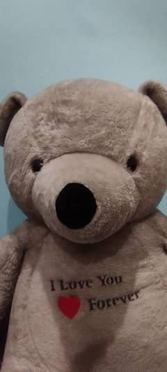 Teddy bear(white)