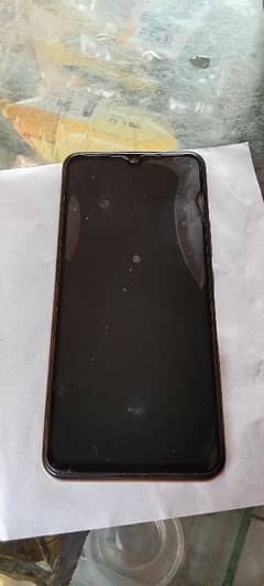 vivo 23