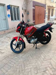 Yamaha ybr