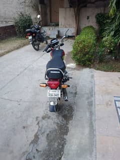 Road price passion plus special edition