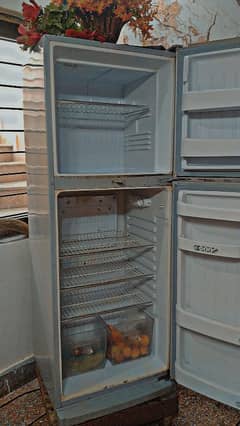 orient refrigerator