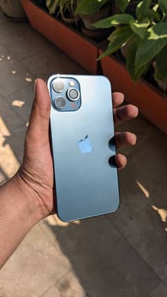 Iphone 12 Pro Max 256gb