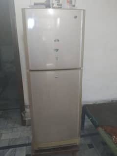PEL Refrigerator