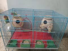 fisher pair and chicks pair wd cage