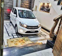 Suzuki Cultus VXL 2021