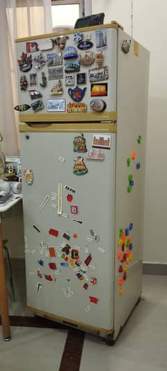 Dawlence fridge freezer