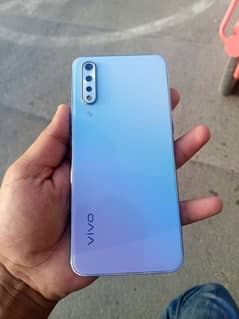 vivo