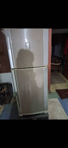 ڈولنس