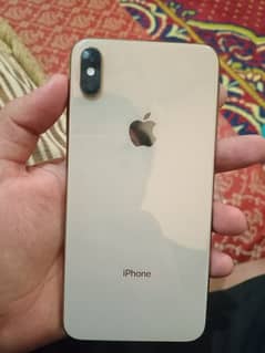 Xs