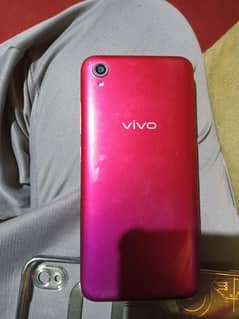 Vivo Mbl for sale