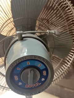 Royal Pedestal fan
