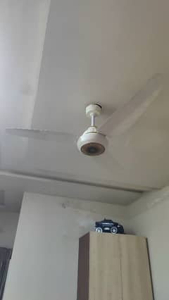 ac DC ceiling fains available