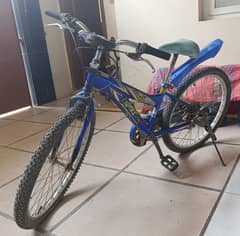 Japanese Panasonic Used Bicycle
