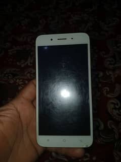 vivo y66 non pta