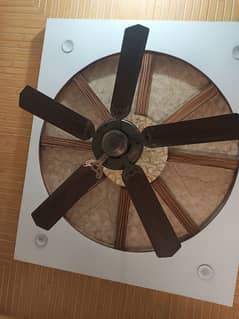 Five Wings ceiling Fan