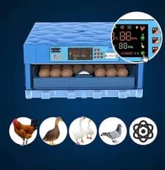 Yiwan Eggs Incubator Full Container Arrived Dual power all Types bird