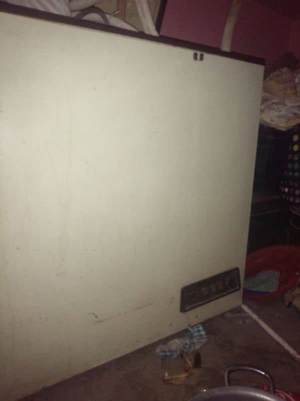 Pel deep freezer 1
